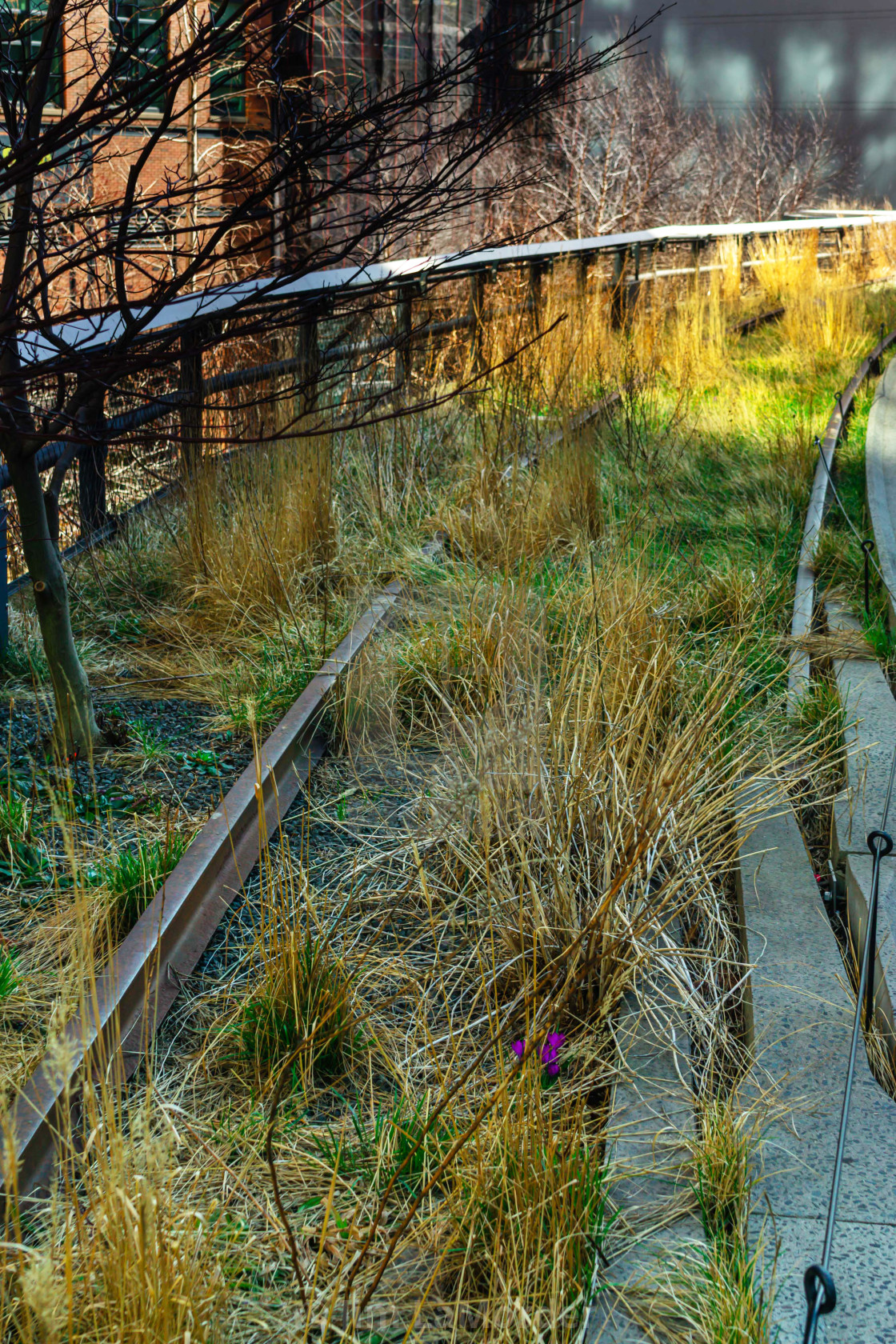 "The High Line" stock image