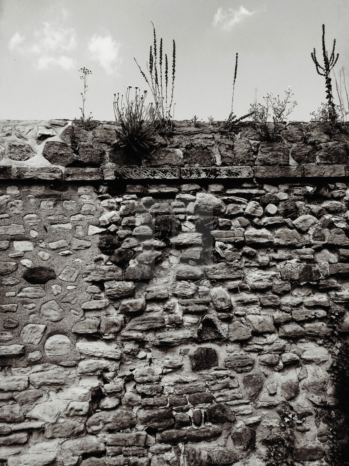 "Abbey Park Wall" stock image