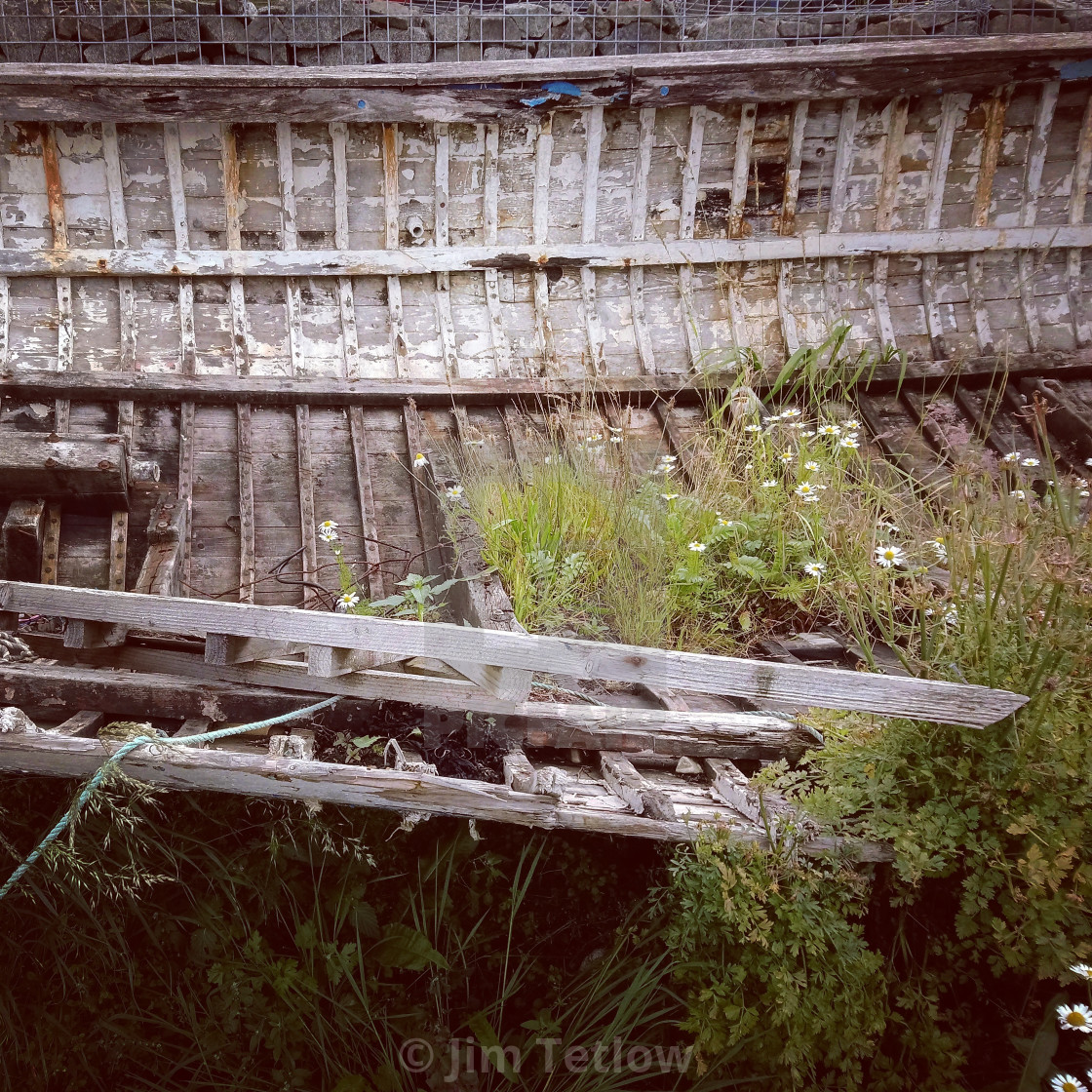 "Boat Skeleton" stock image