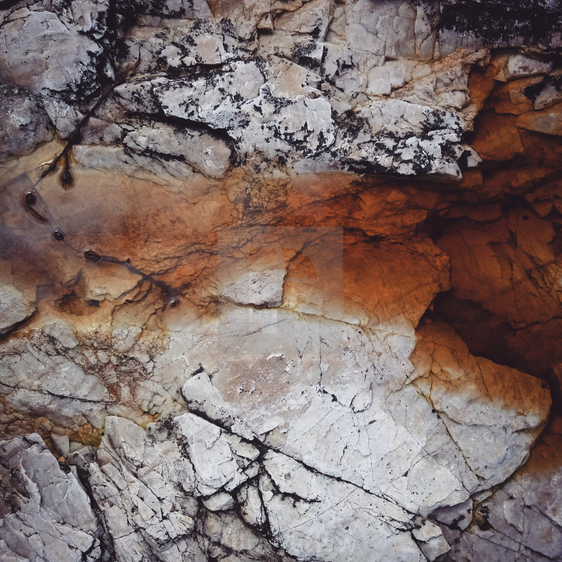 "Rockpool" stock image