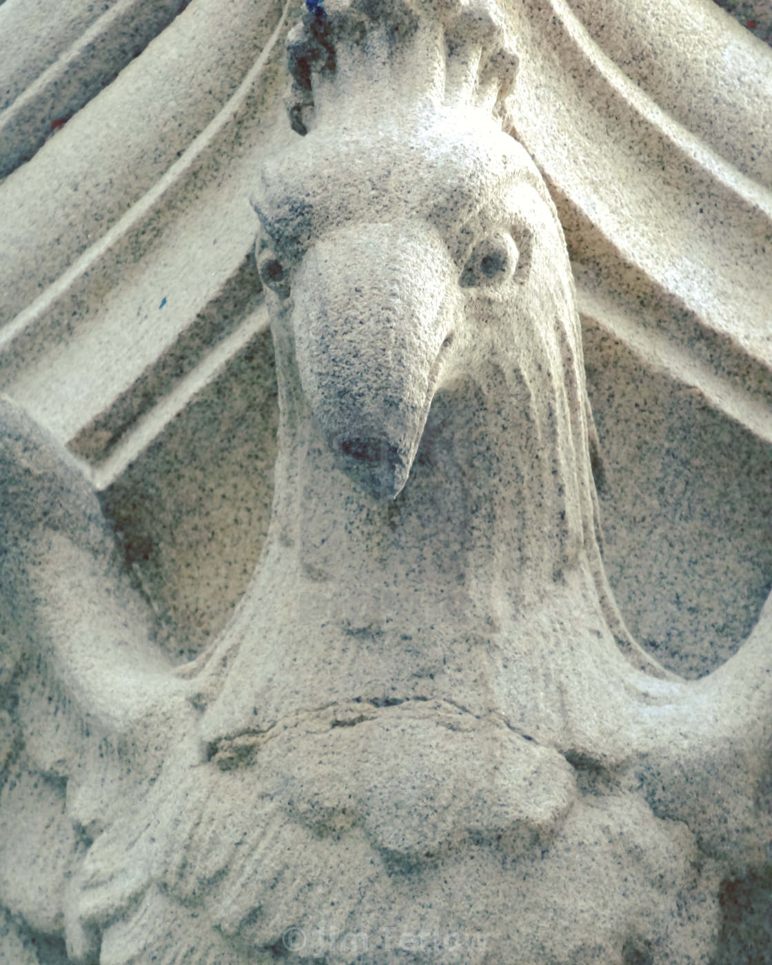 "Bird Gargoyle" stock image