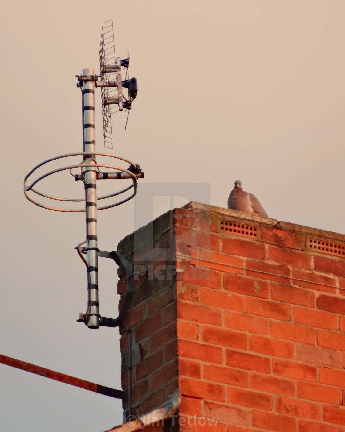 "Roof Ornaments" stock image