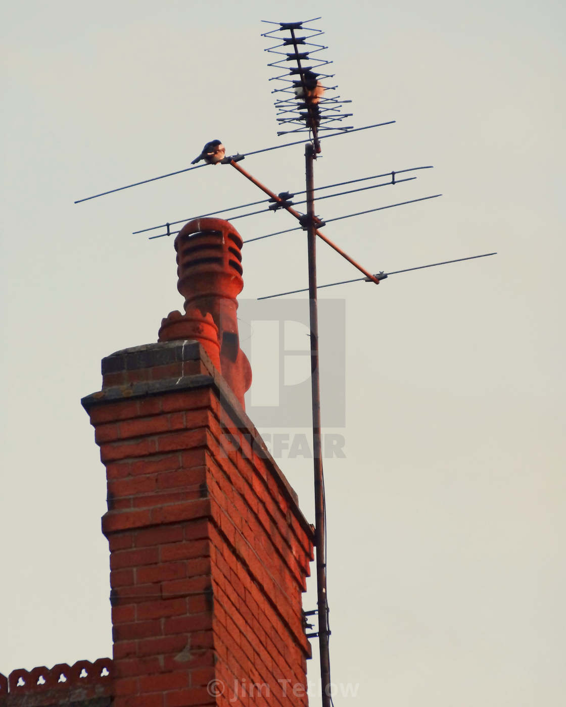 "Roof Ornaments" stock image