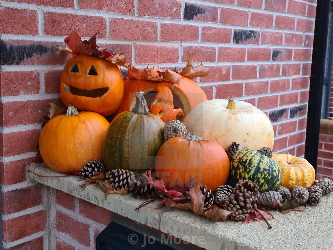 "A Halloween pumpkin anyone?" stock image