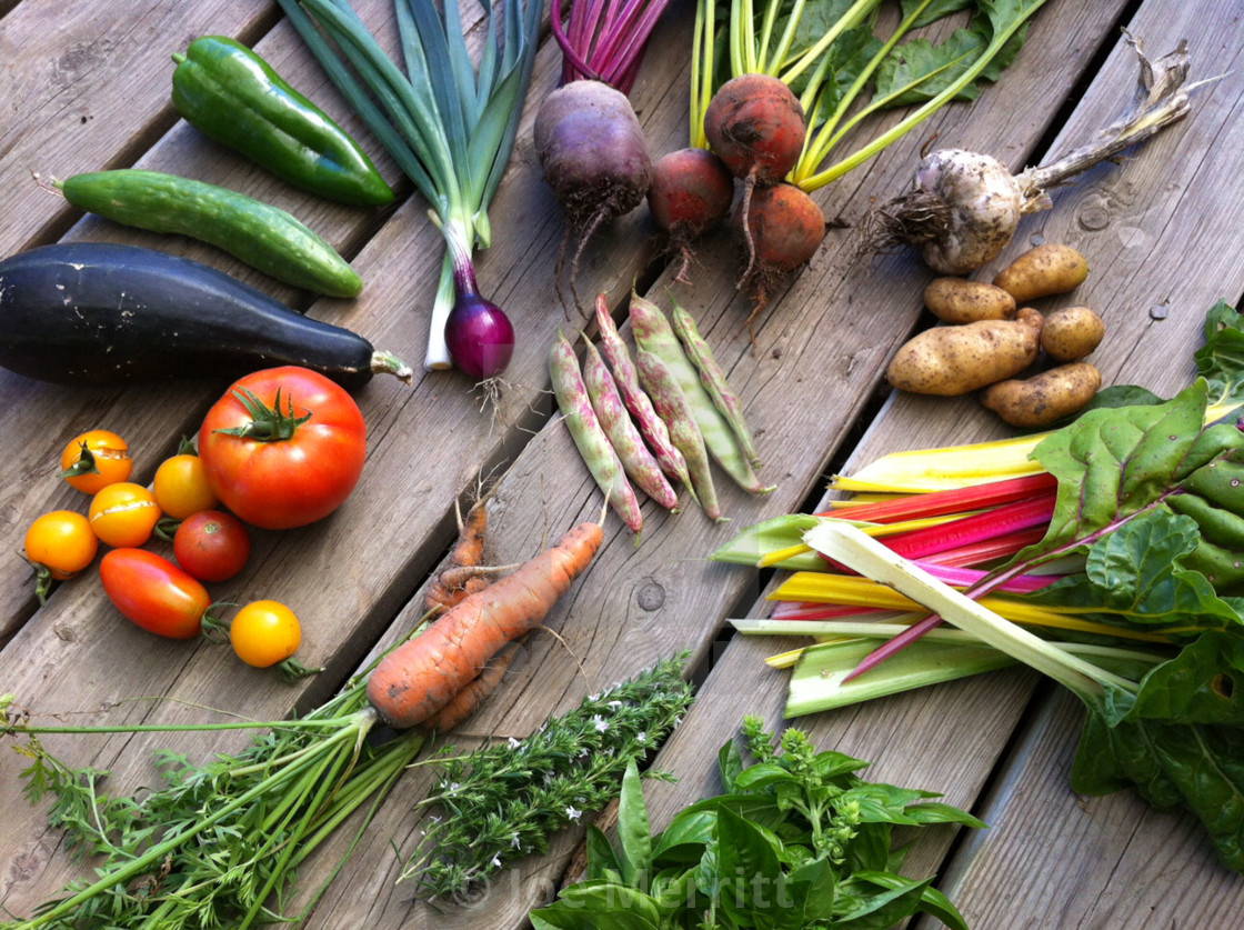 "A full harvest..." stock image