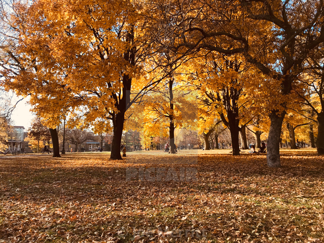 "A walk in the park is always nice..." stock image