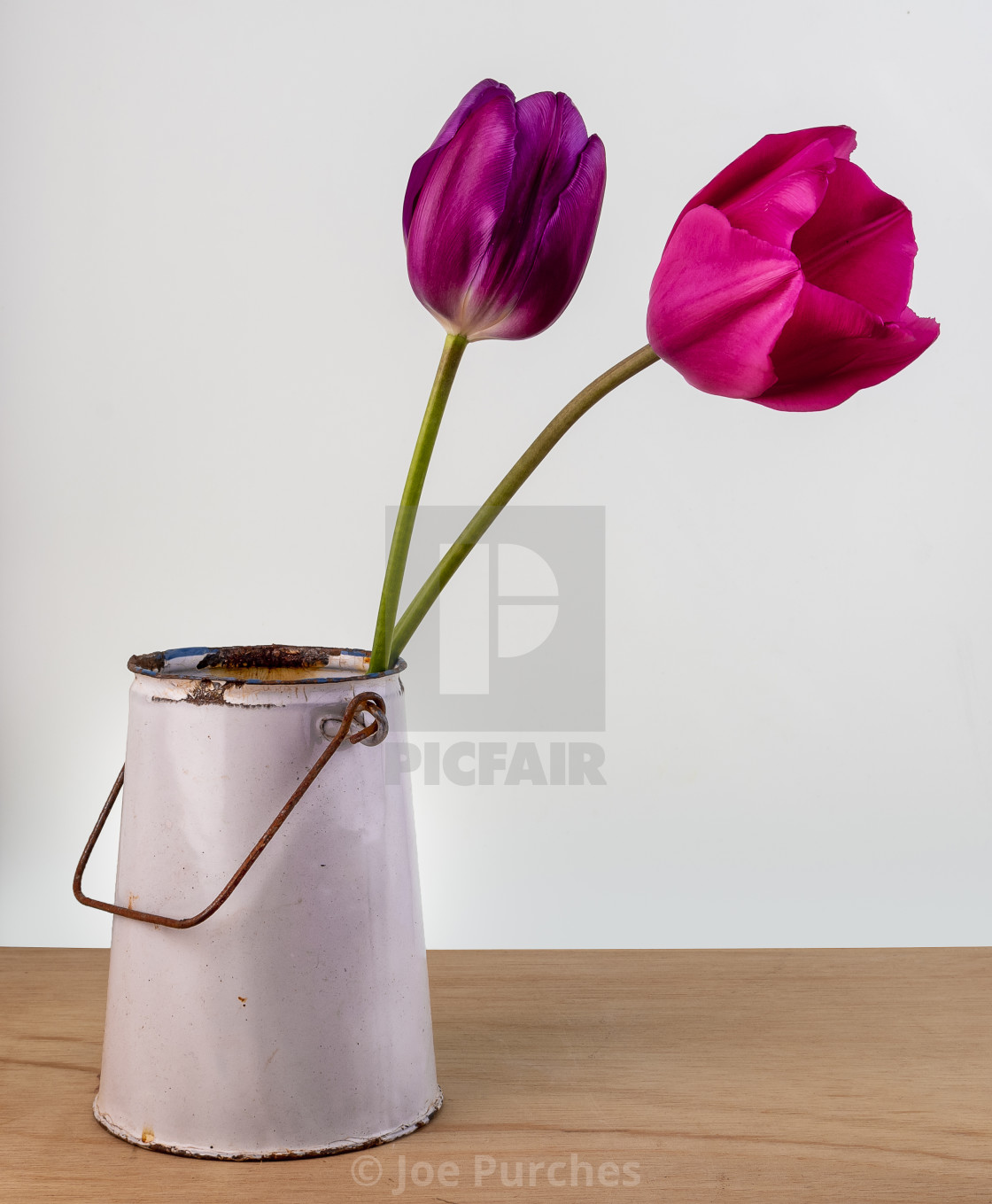 "Tulips and Jug" stock image