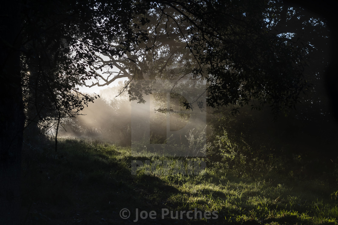 "Early morning on Sakeham Farm" stock image