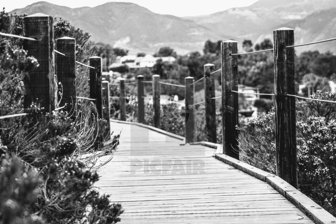 "Taking a Walk" stock image