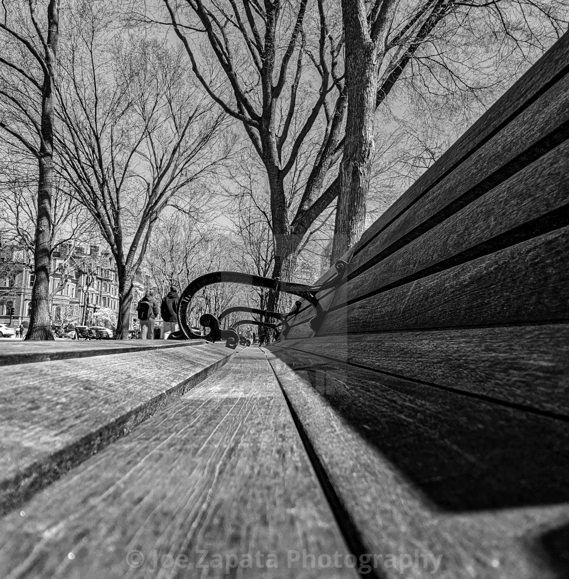 "A Bench in the park" stock image