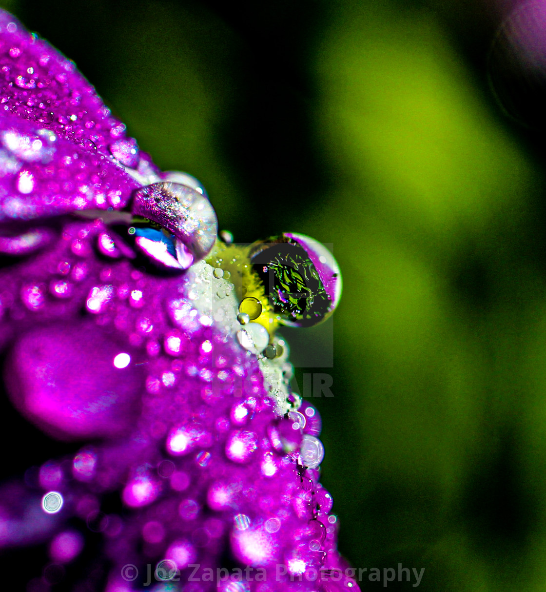 "Reflections in the droplet" stock image