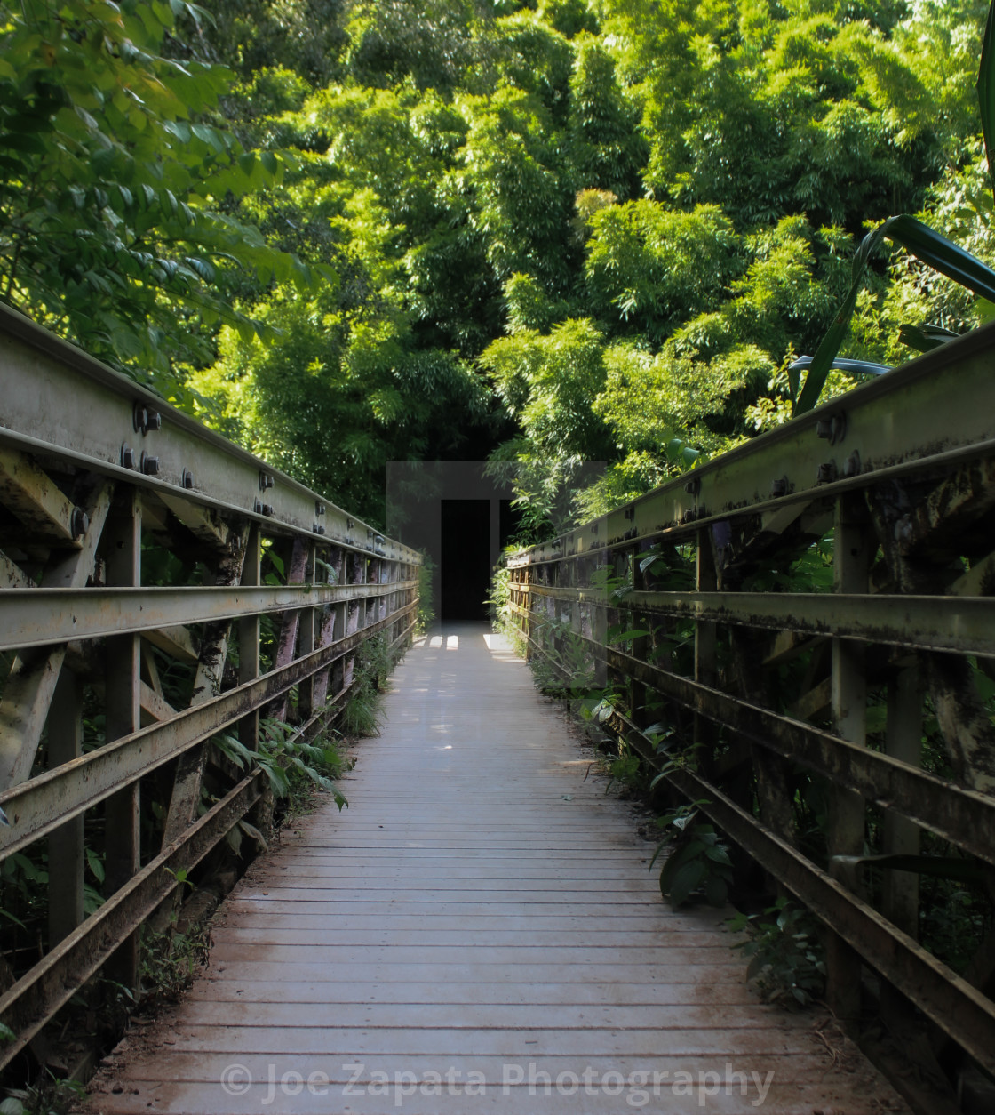 "Pipiwai Bamboo Forrest Bridge" stock image