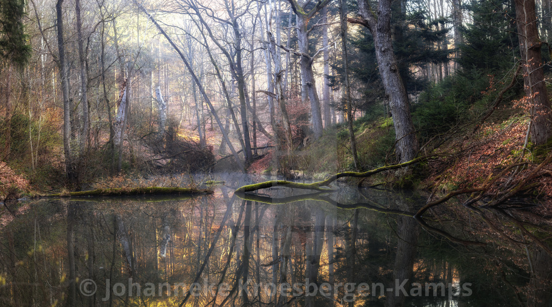 "Forest pool" by Johanneke Kroesbergen-Kamps - $15.41 "Forest pool" stock image