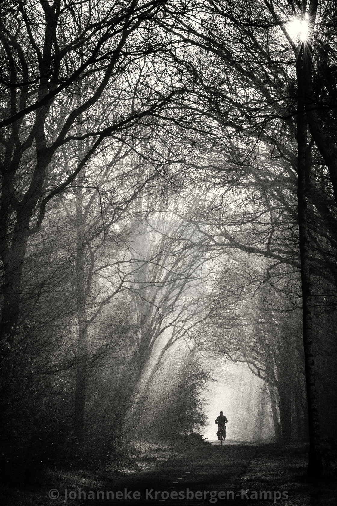 "Cyclist in a foggy forest" by Johanneke Kroesbergen-Kamps - $15.41 "Cyclist in a foggy forest" stock image