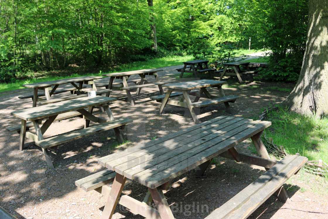 "Picnic tables in woodland" stock image