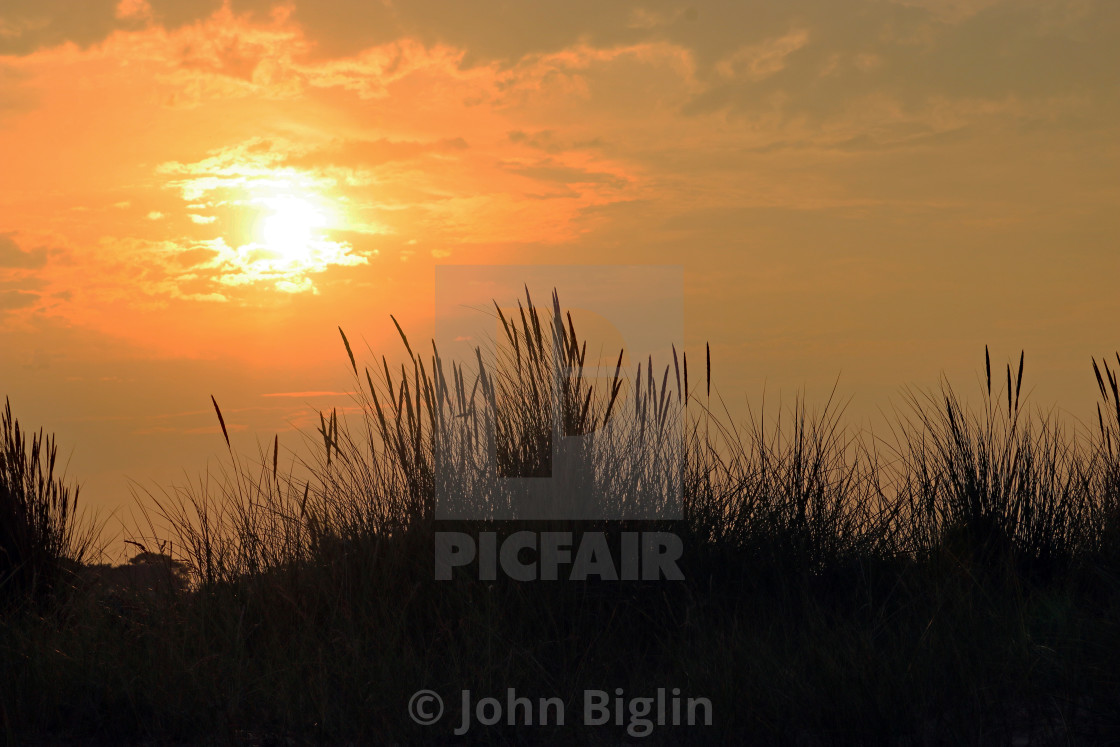 "Sunset with grass in the foreground" stock image