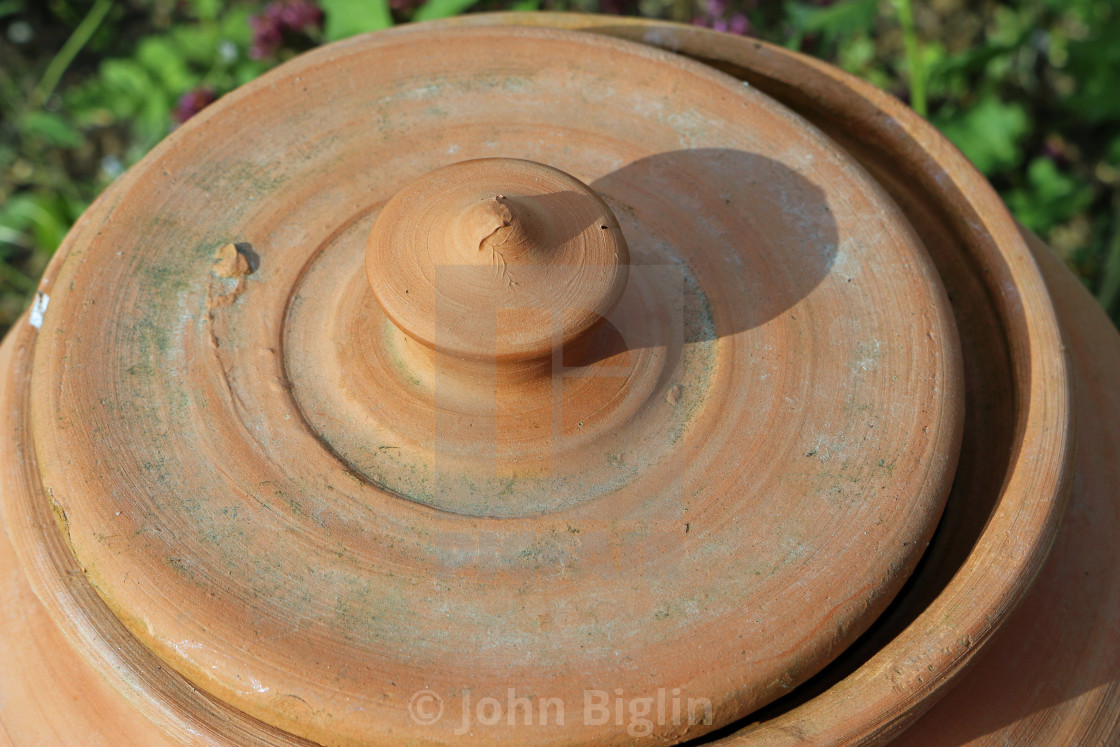 "Rhubarb forcing jar" stock image