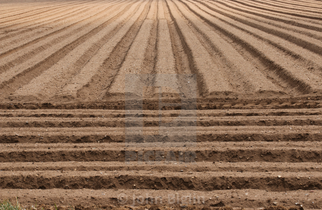 "Ploughed farm field for potatoes" stock image