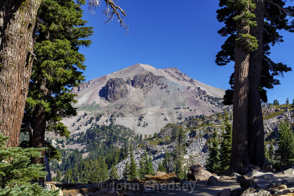 "Mount Lassen As Seen Through Pine Trees" by John Chedsey - $7.79 "Mount Lassen As Seen Through Pine Trees" stock image