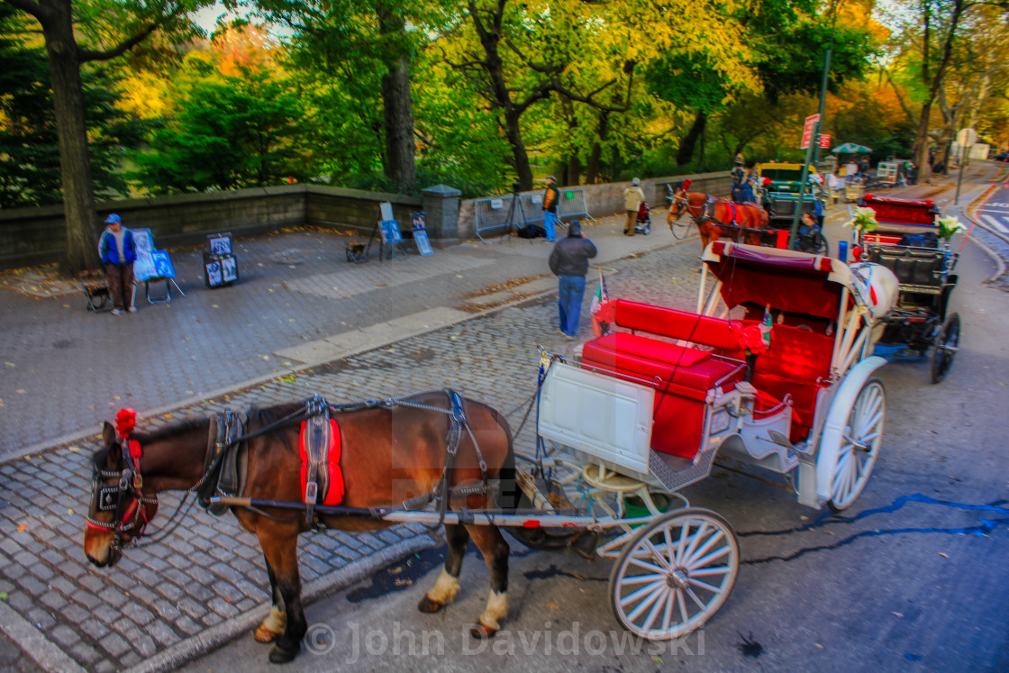 "Carriage Ride" stock image