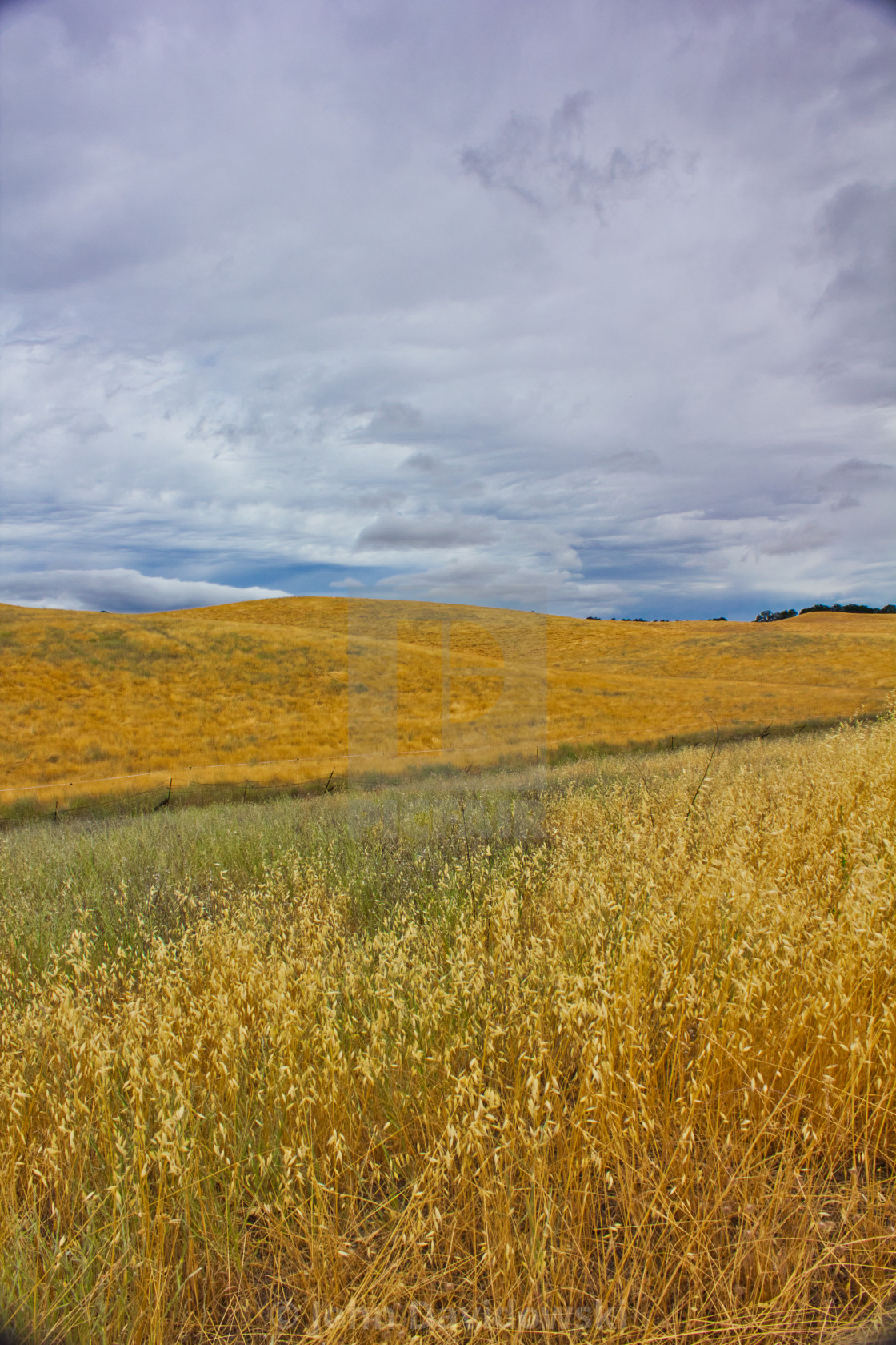 "Timm Ranch" stock image