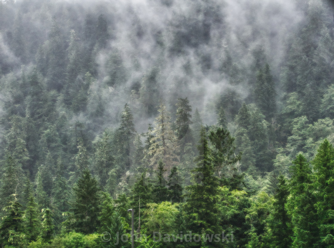 "Morning Fog" stock image