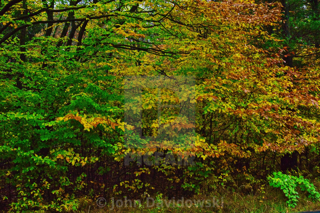 "Autumn Palette" stock image