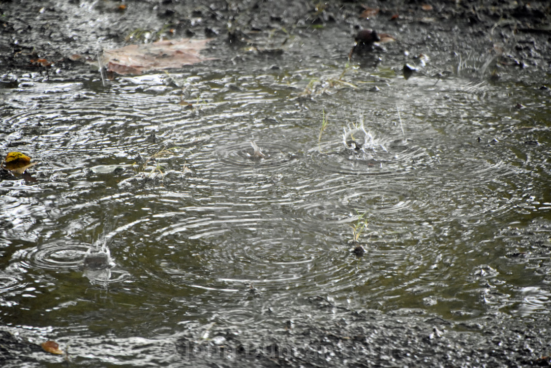 "Raindrops" stock image