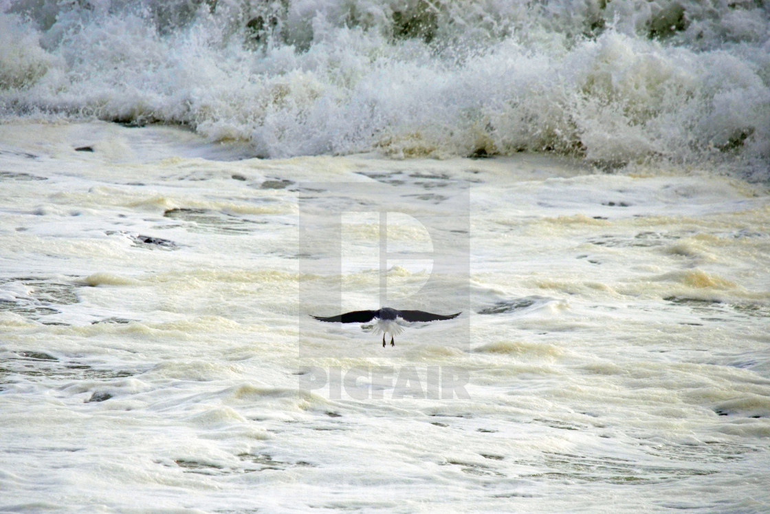 "Into the Storm" stock image