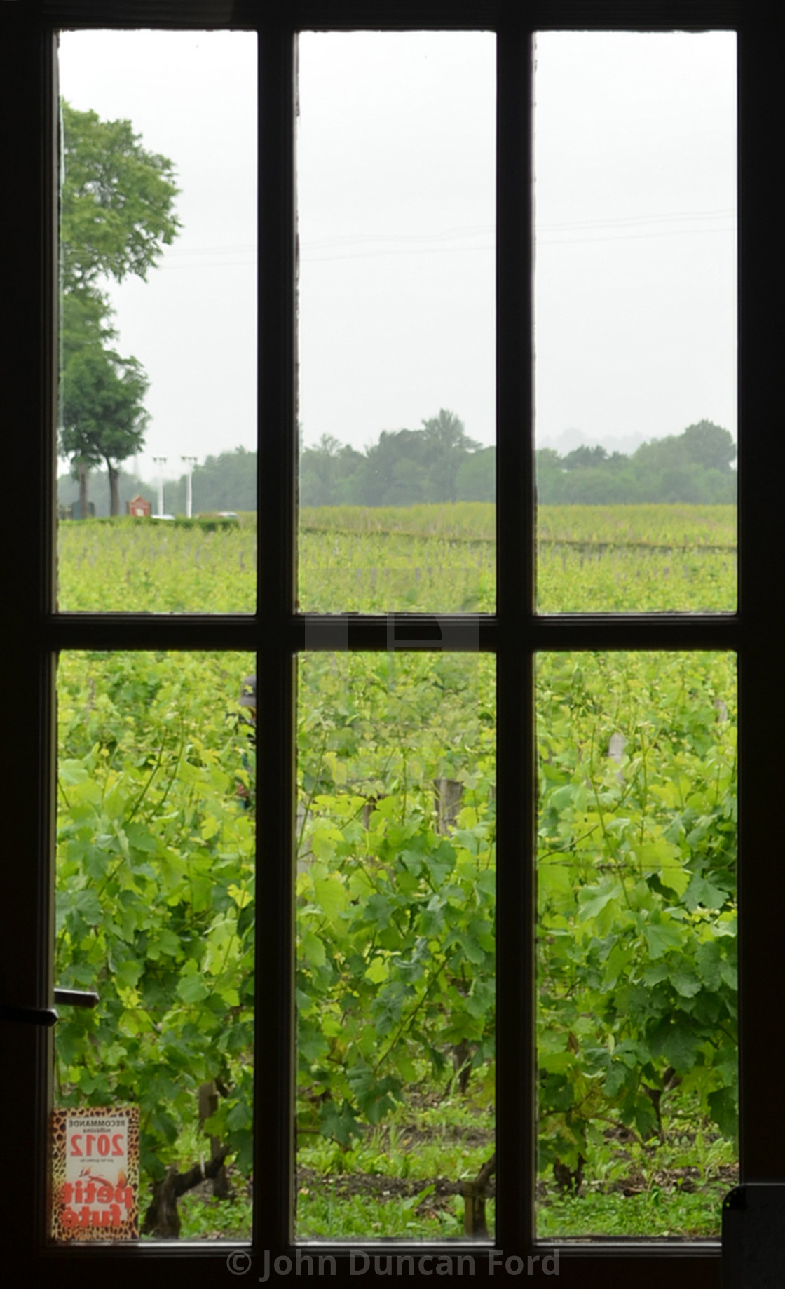 "Saint-Émilion Vineyard Window" stock image