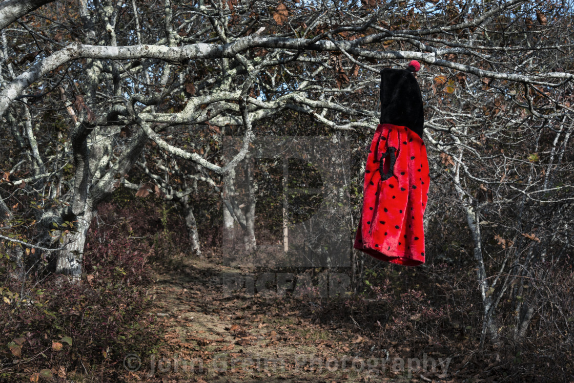 "Girls coat hangs from a tree along a remote pat" stock image