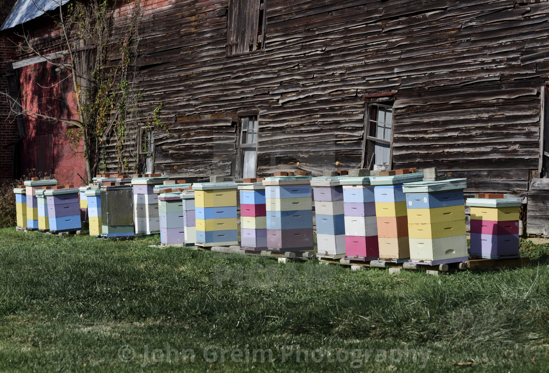 "Apiary beehives, New Jersey, USA" stock image