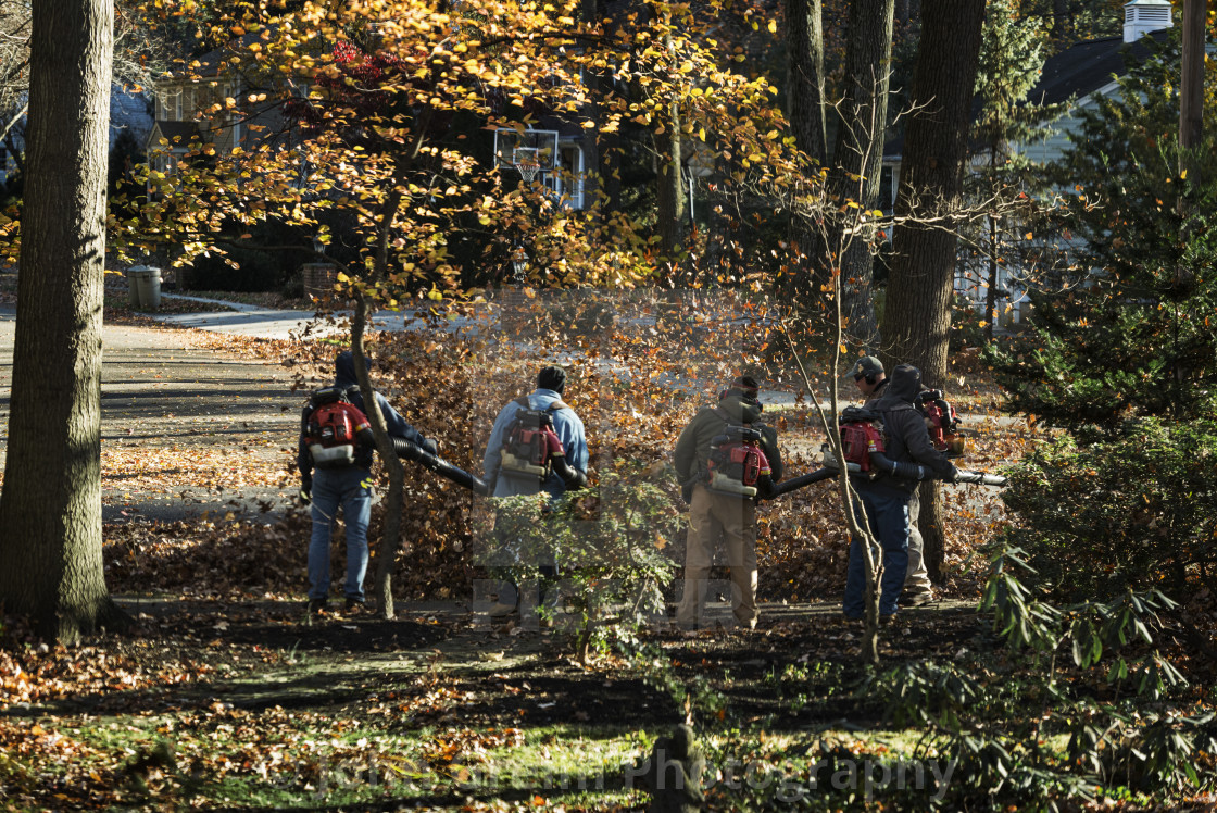 "Yard workers blowing autumn leave" stock image