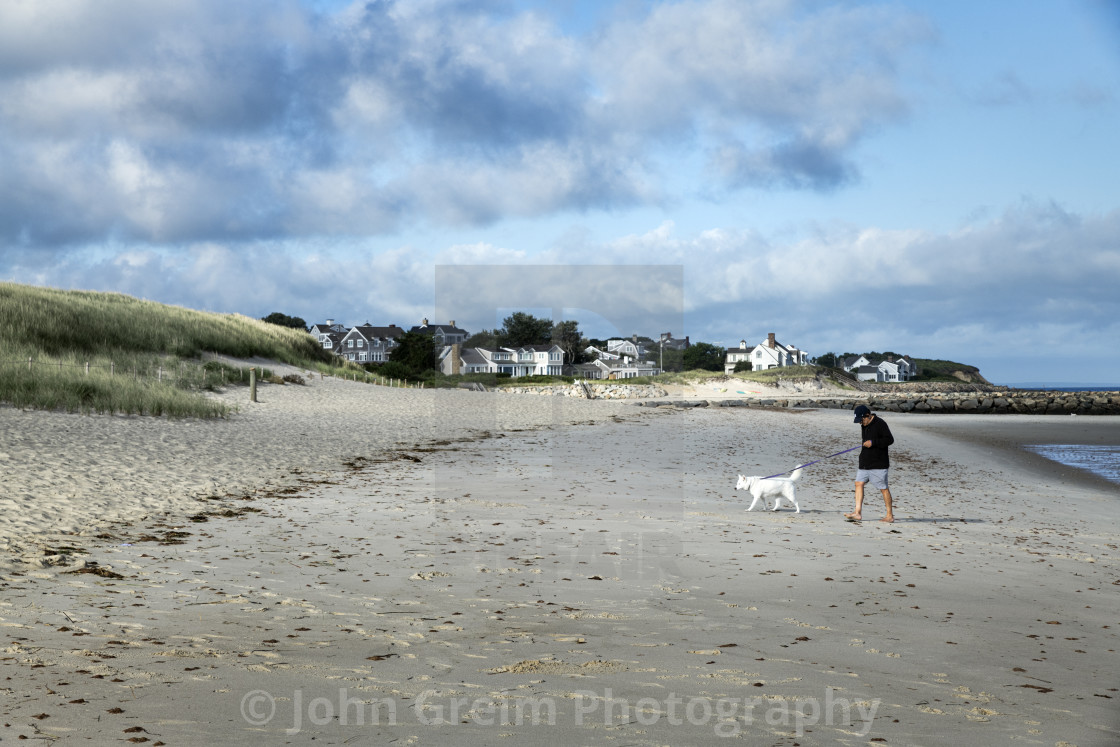 "Dog walker at the beach." stock image