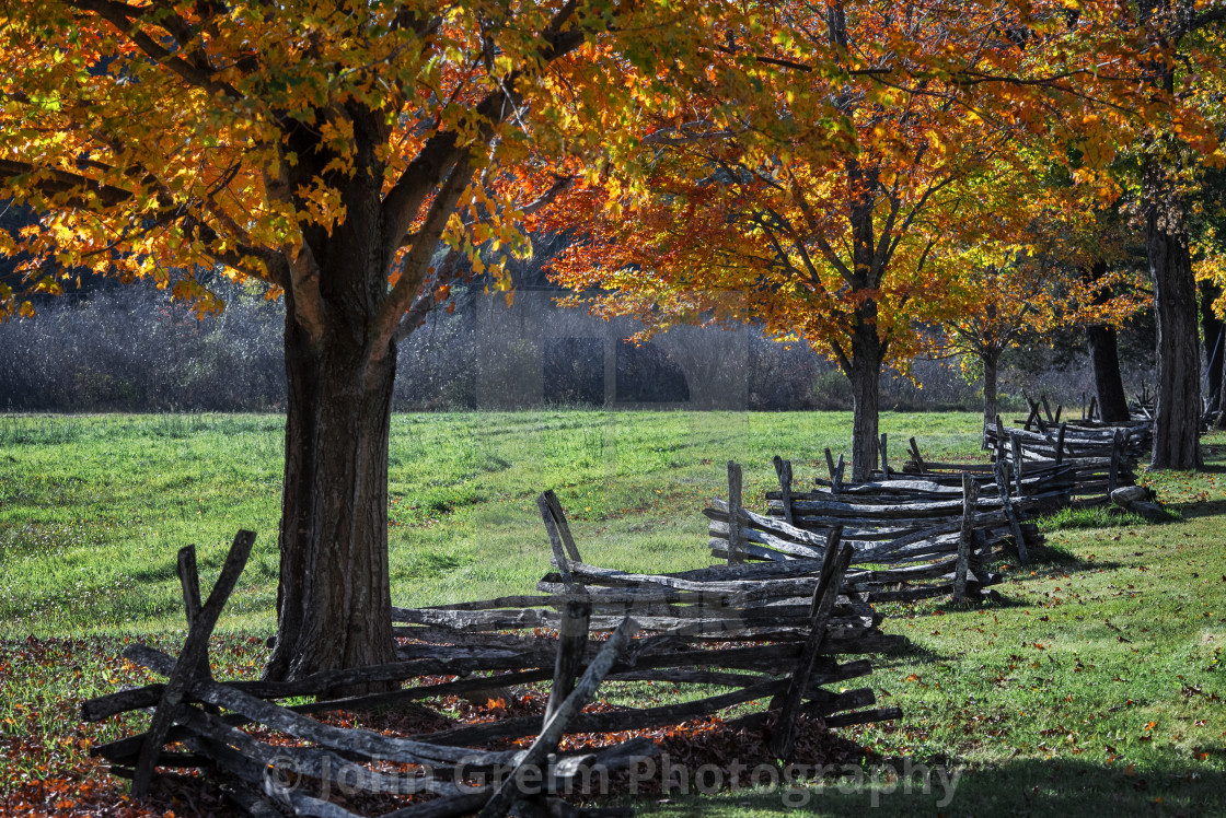 "Antique split rail fence along a stand of autumn maple tree." stock image