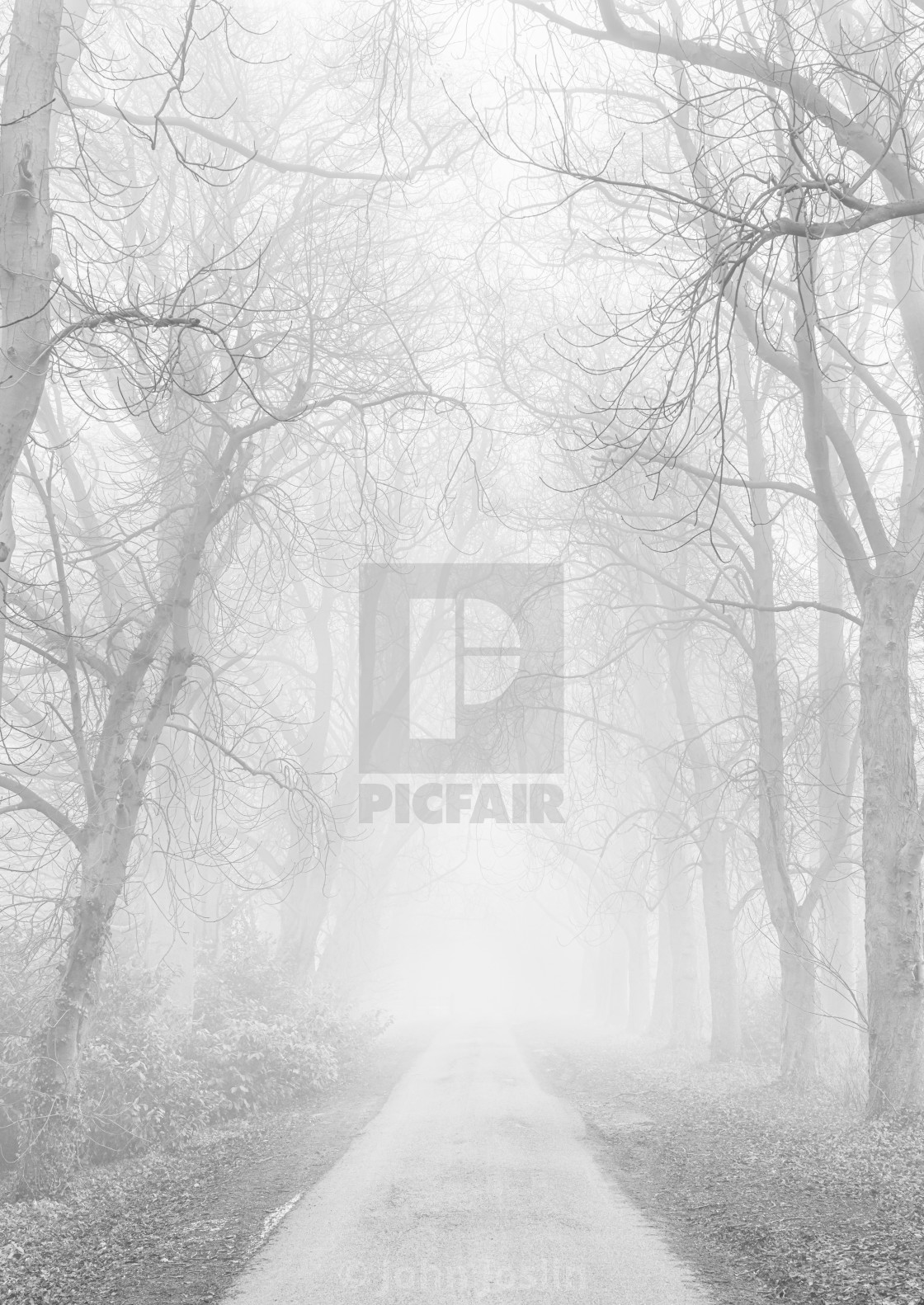"Visability 50 Yards" by John Joslin - $38.84 "Visability 50 Yards" stock image