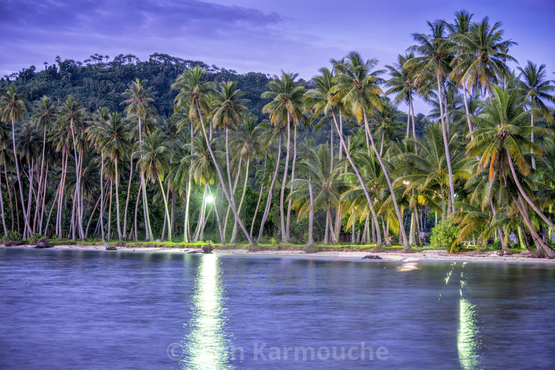 "Tropical Light Reflections" stock image