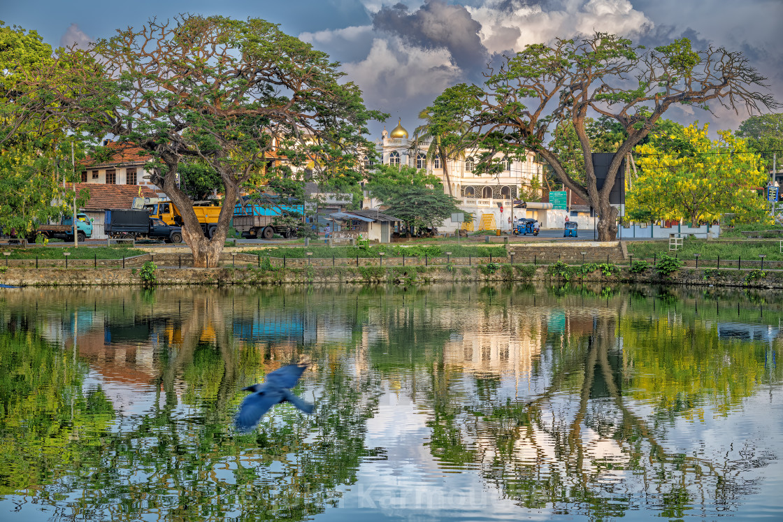 "Tangalle Lake" stock image