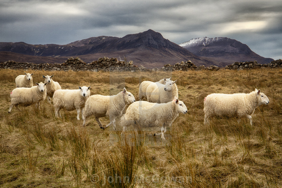 "Achiltibuie, Scottish Highlands" stock image