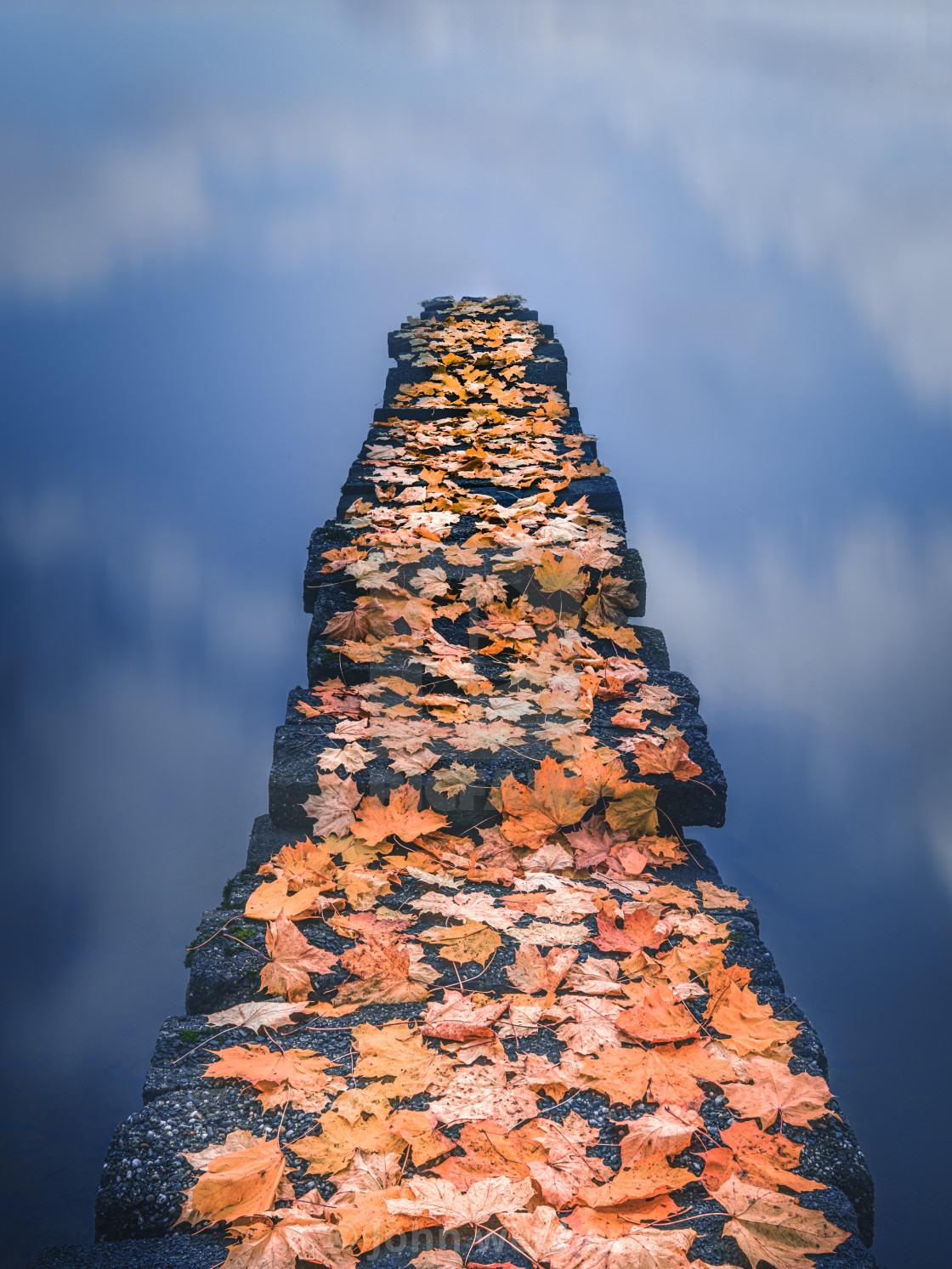"Path of Gold" by John webber - £12.00 "Path of Gold" stock image