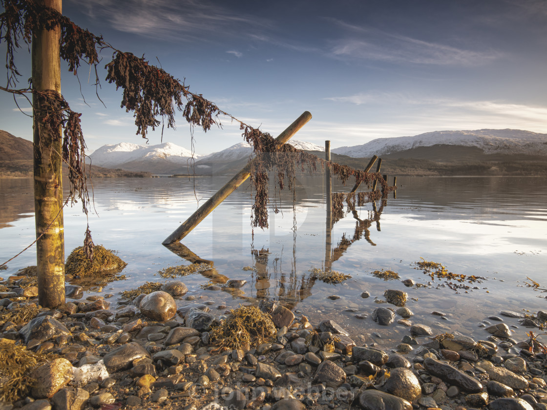 "Loch Creran, winter light." by John webber - £15.00 "Loch Creran, winter light." stock image