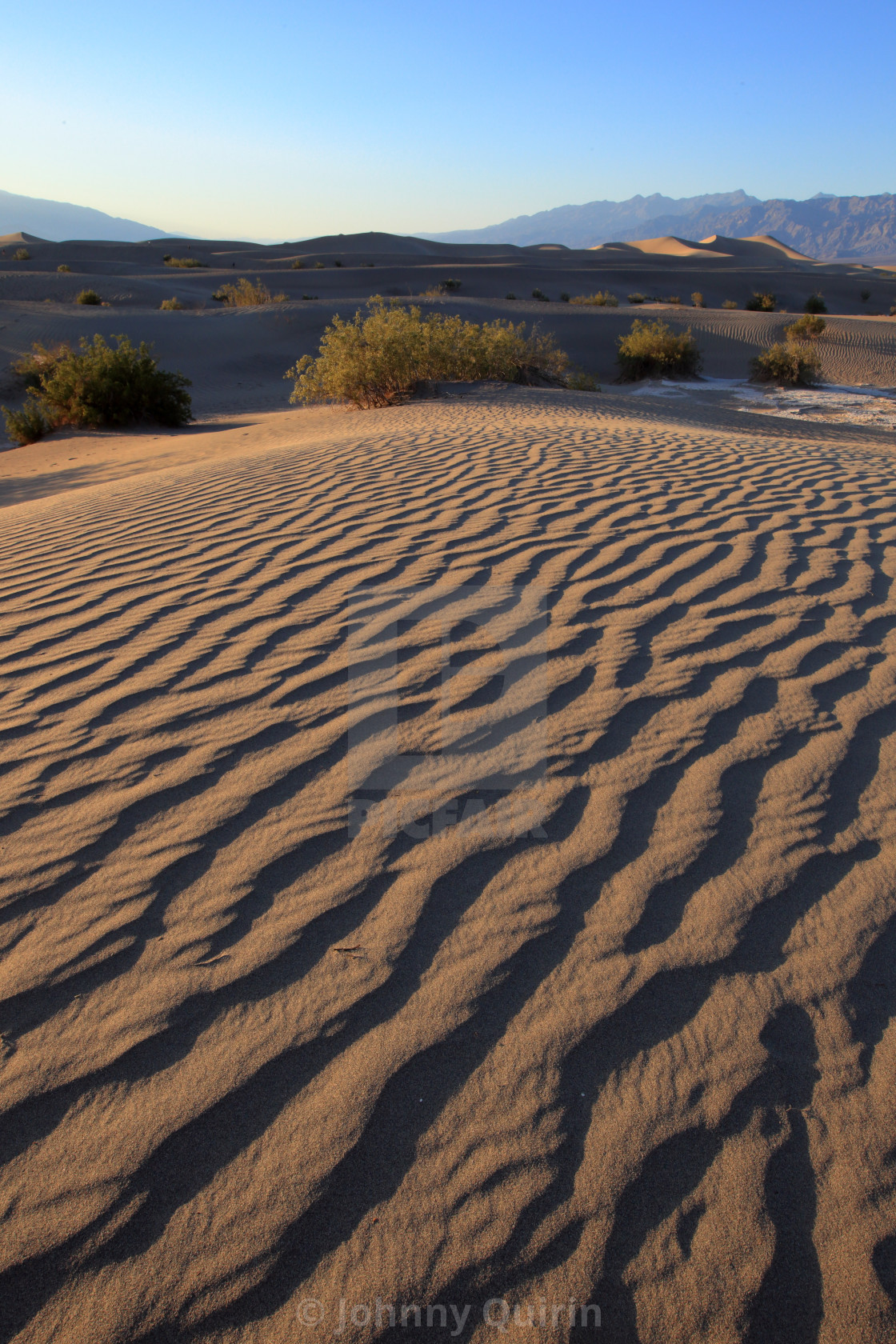 "Leading dune lines" stock image