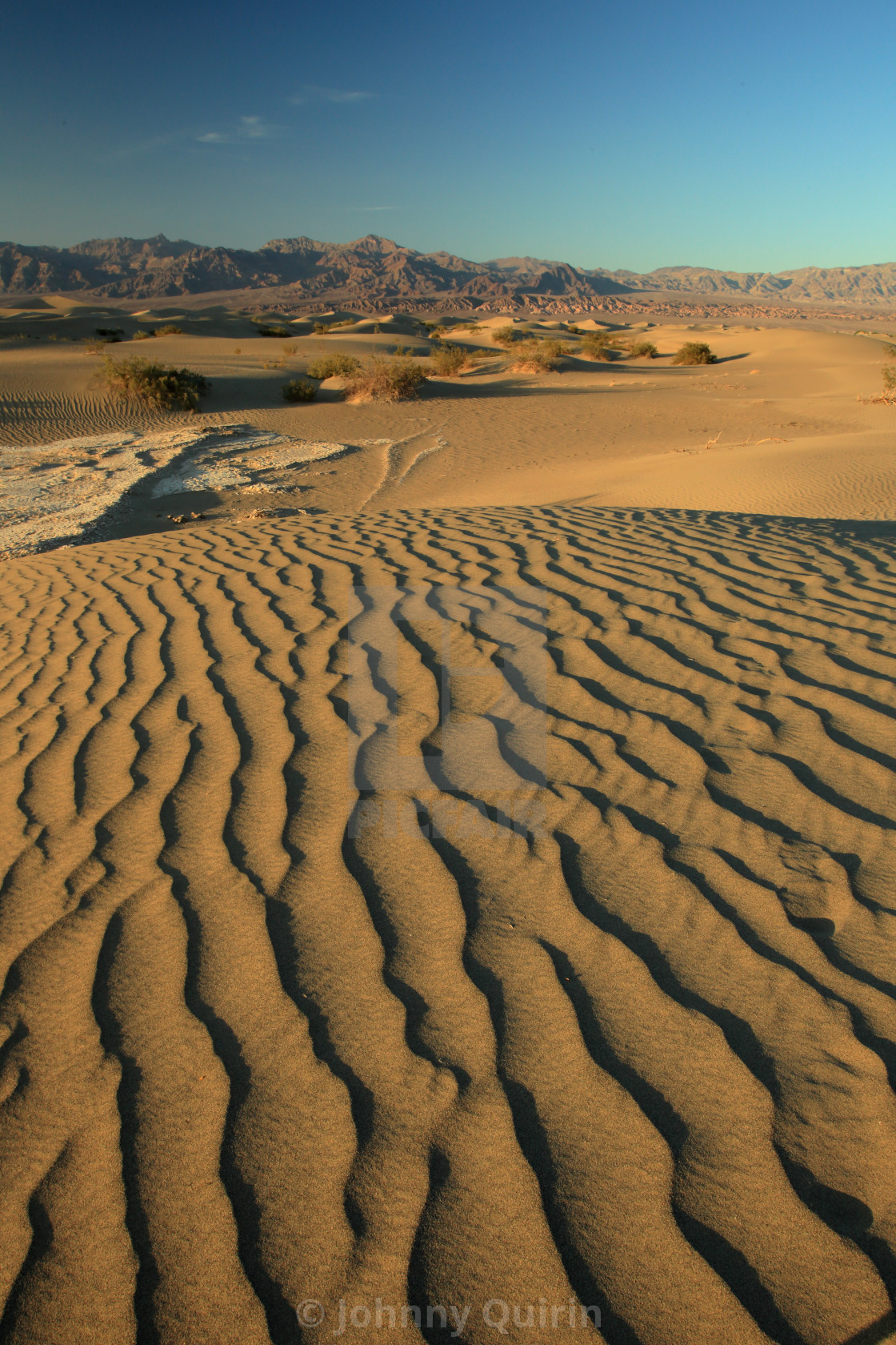 "Leading dune lines" stock image