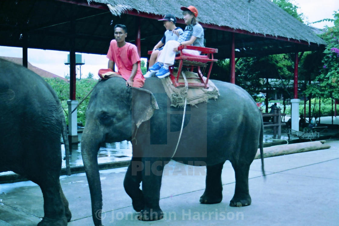 "Elephant Ride, Rose Garden, Bangkok" stock image