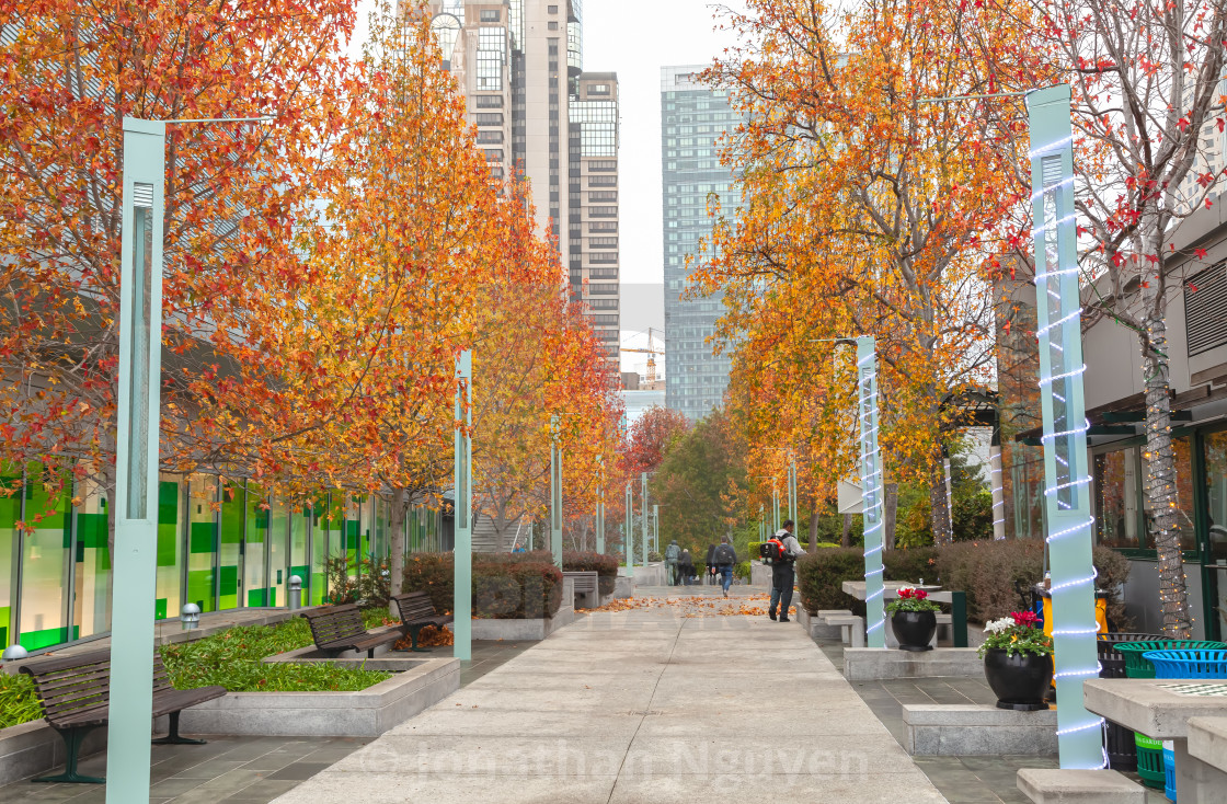 "city in autumn" stock image