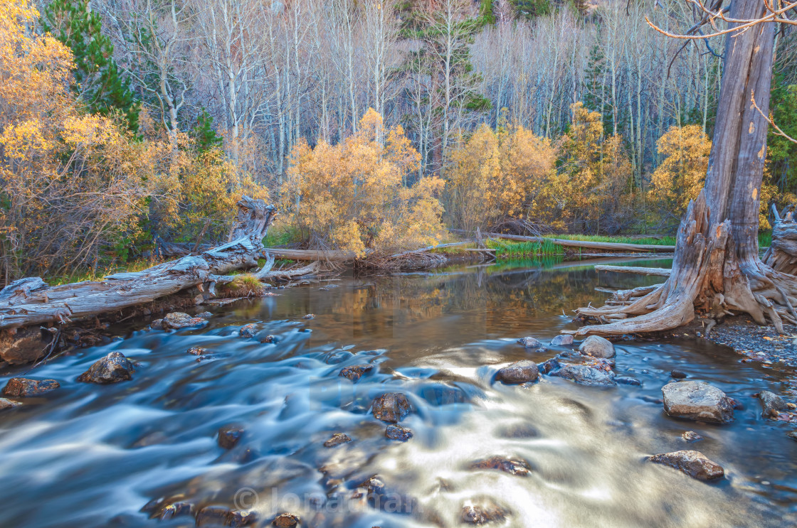 "late autumn" stock image