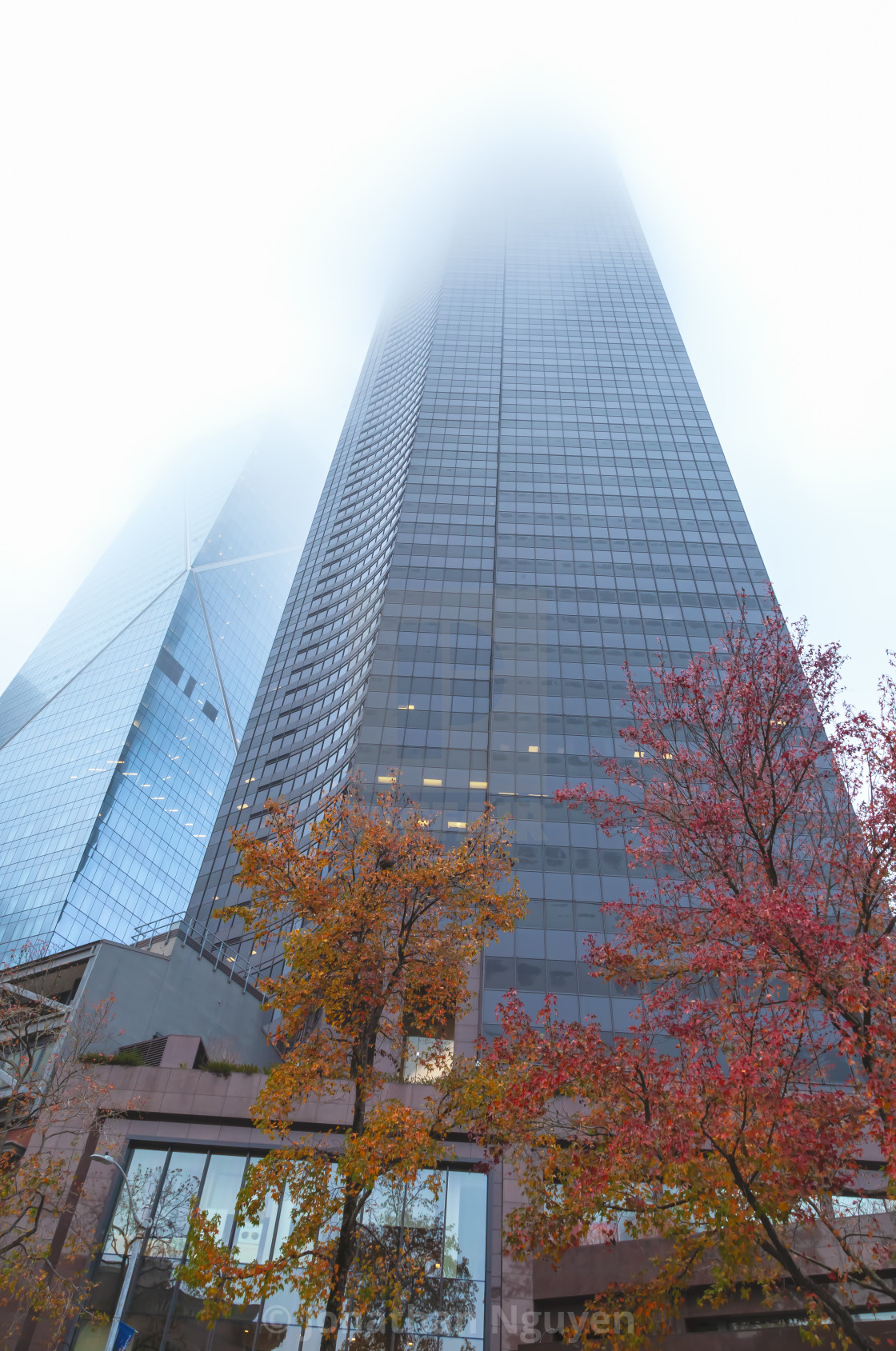 "foggy autumn" stock image