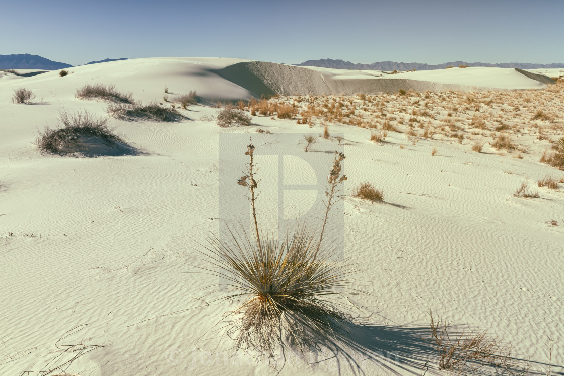 "white sand landscape" stock image