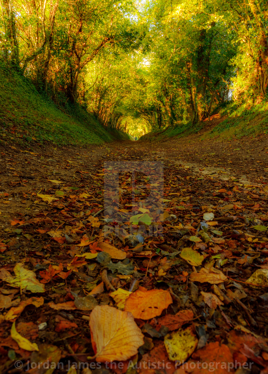 "Tunnel of Love" stock image