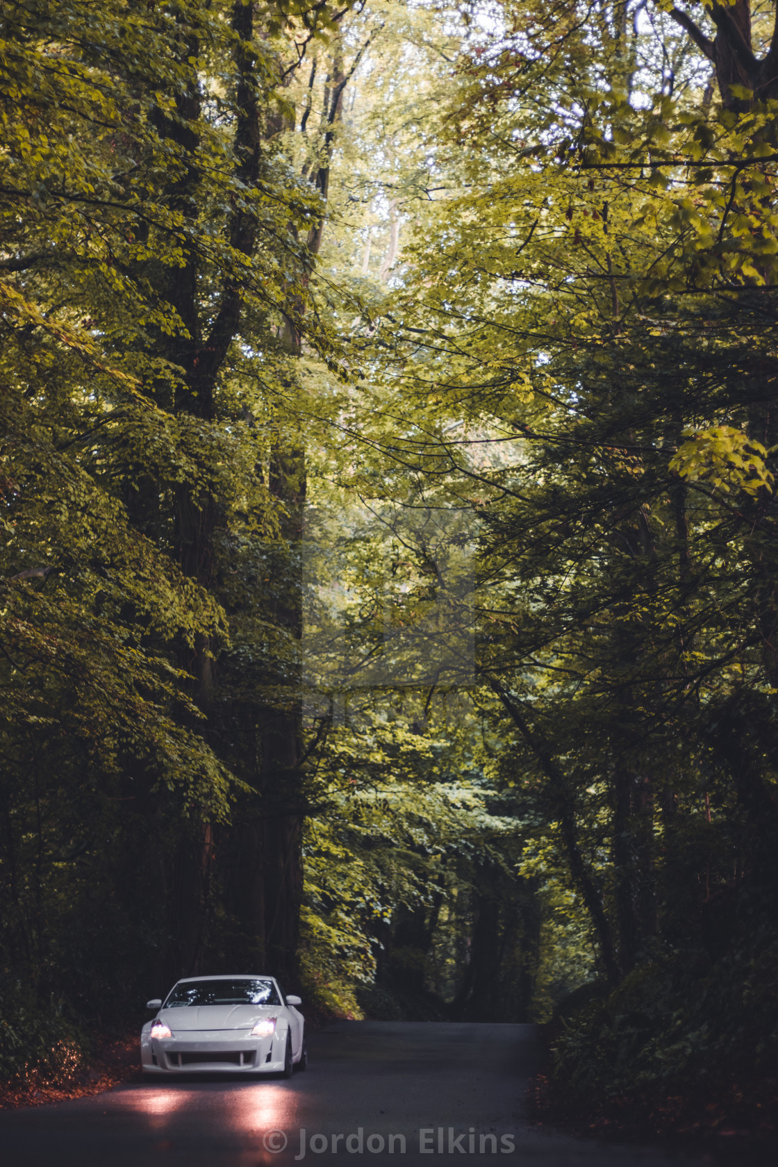 "Forest Roads" by Jordon Elkins - $6.19 "Forest Roads" stock image